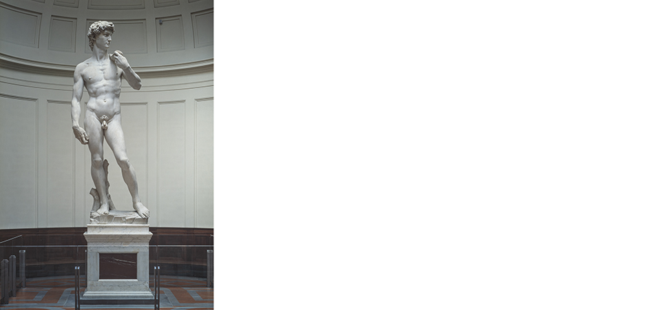 david michelangelo galleria dell'accademia