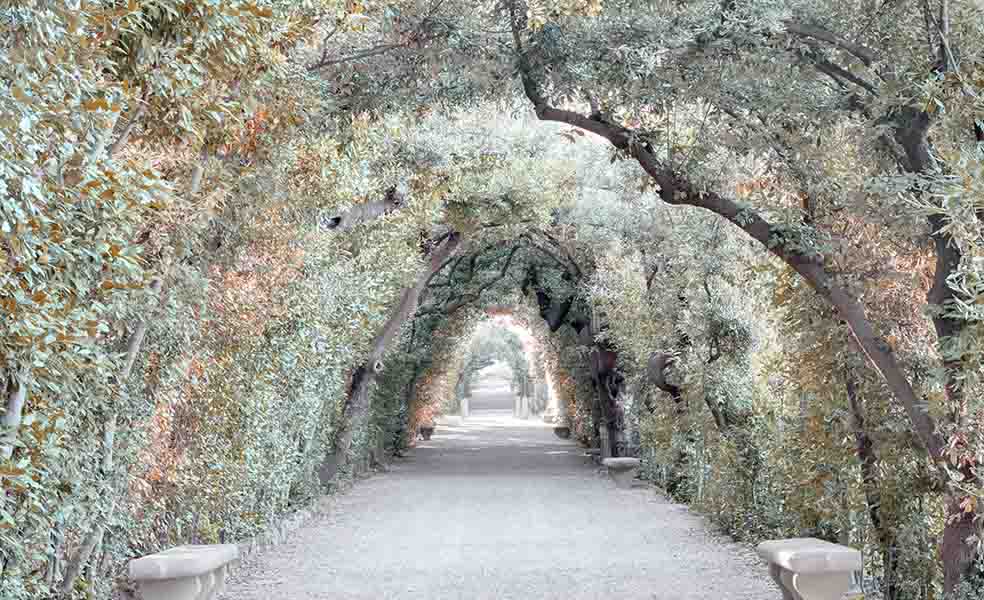 Museo Giardino di Boboli