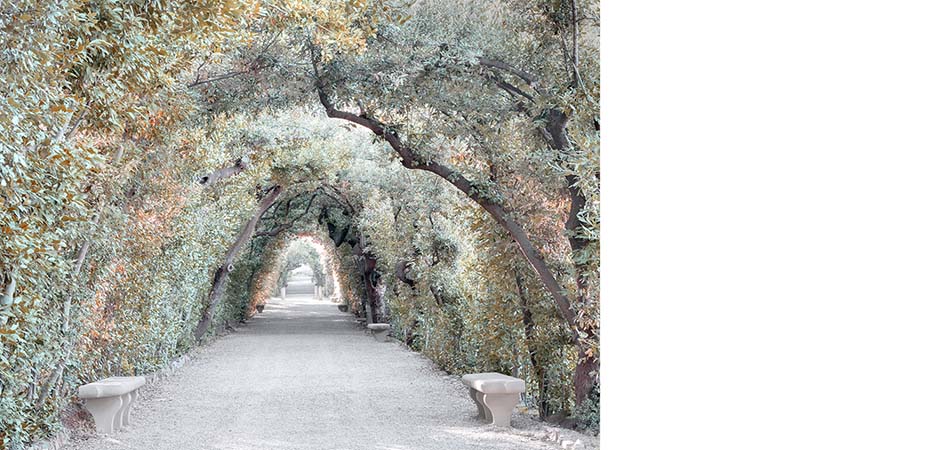 giardino di boboli francesco jodice premio orbital cultura