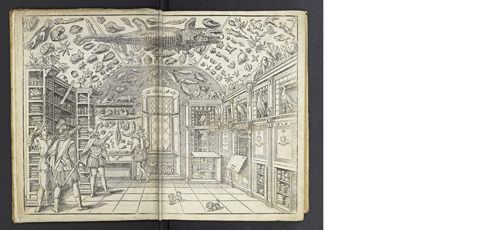 historia naturale ferrante imperato 